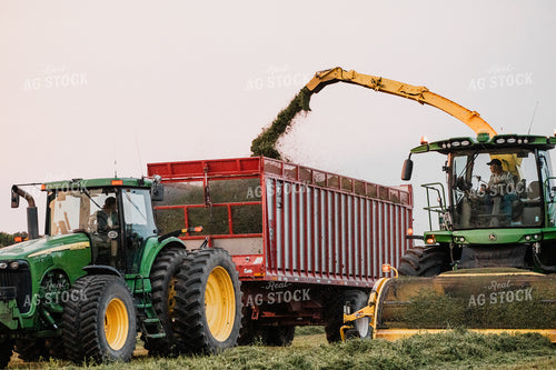 Haylage Harvest 272037