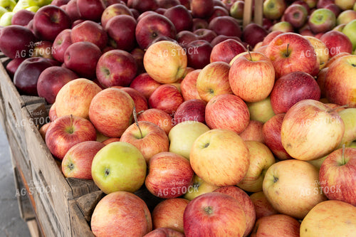 Apples 276057