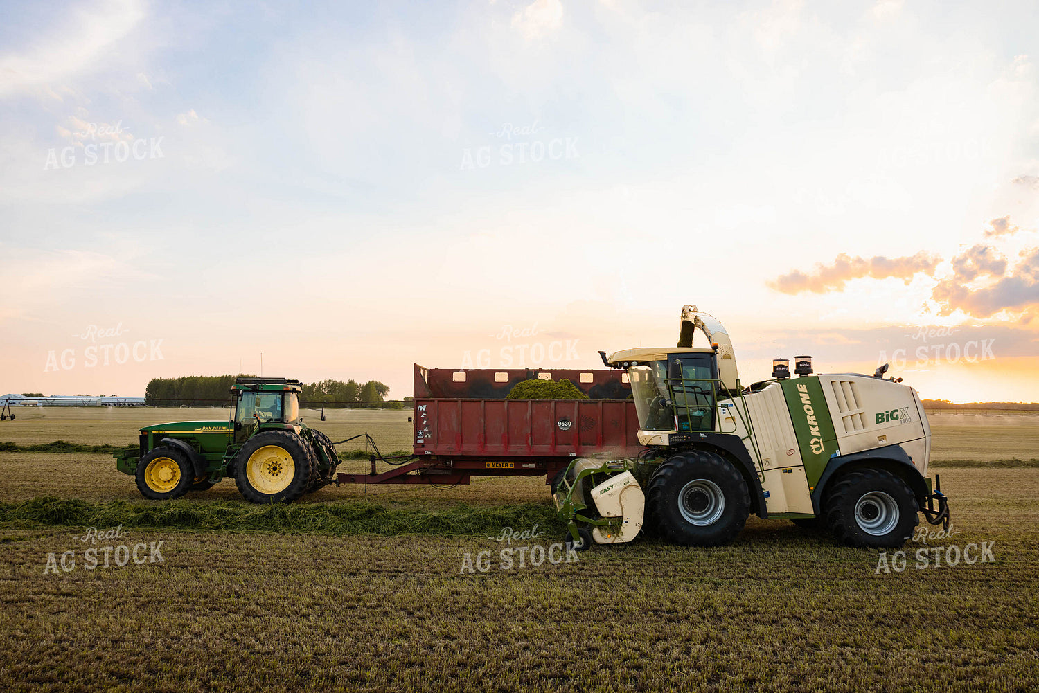 Chopping Silage 152130