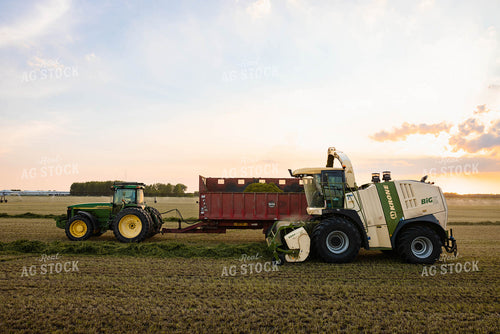 Chopping Silage 152130