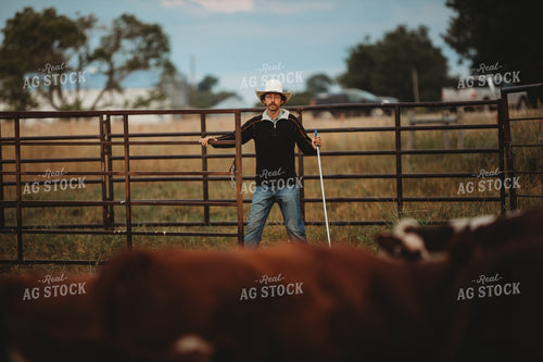 Rancher with Cattle 6464