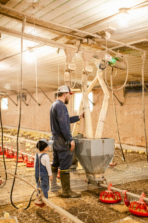 Farmer and Son in Chicken Barn 280008