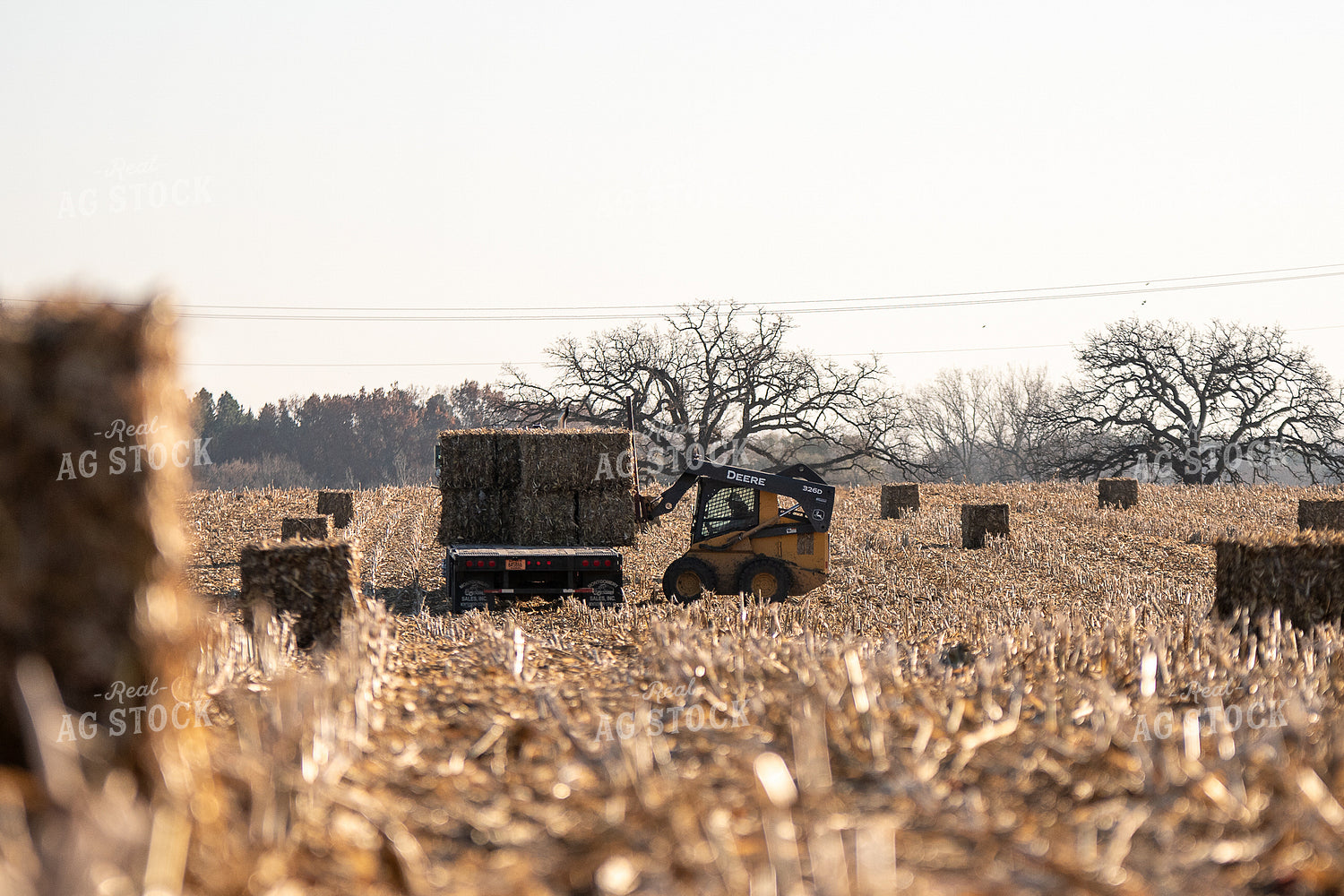 Loading Corn Bales 50456