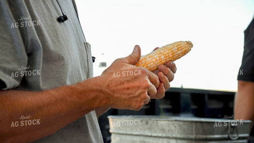 Family Shucking Sweet Corn 25245