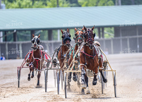 Horse Racing 160256