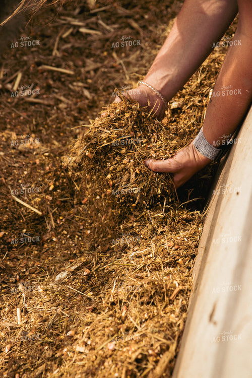 Farmer Handling Feed Ration 67436