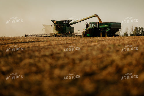 Soybean Harvest 9237
