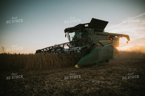 Soybean Harvest at Dusk 7003