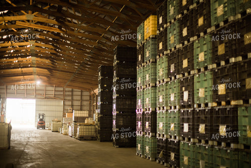 Seed Storage Shed 7967