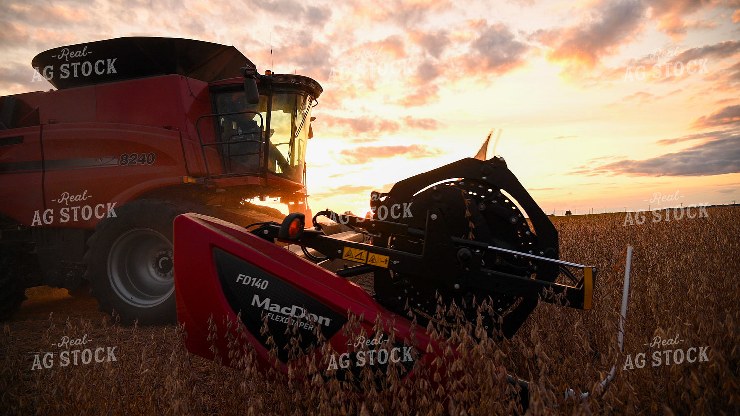 Combine Harvesting Soybeans 25744