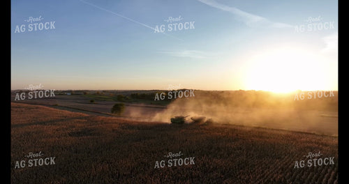 Moving Cattle 274046