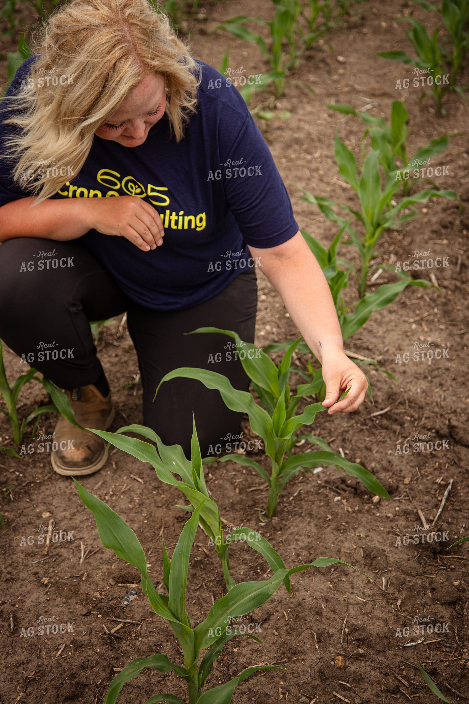 Female Agronomist Scouting Field 67740