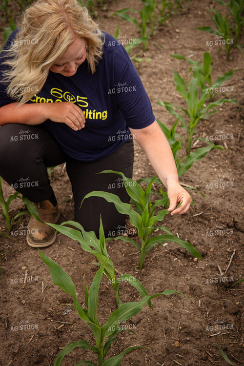 Female Agronomist Scouting Field 67740