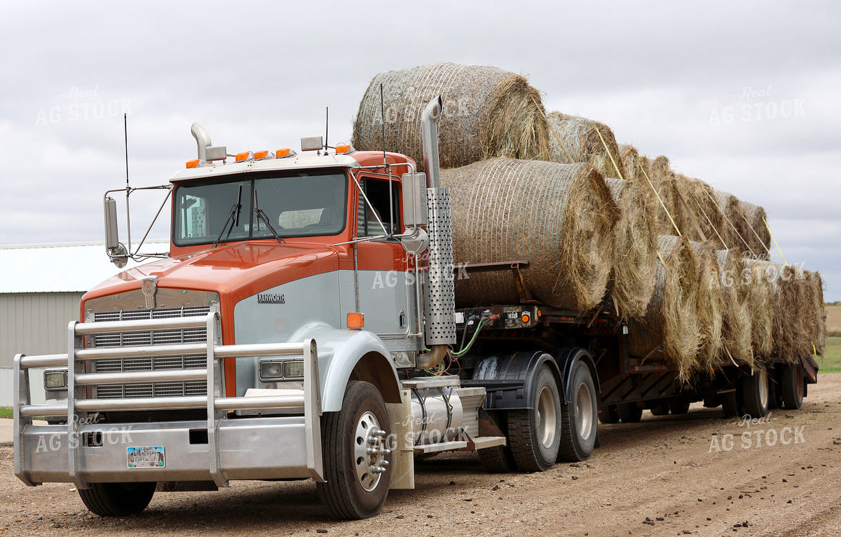 Hauling Hay Bales 141819