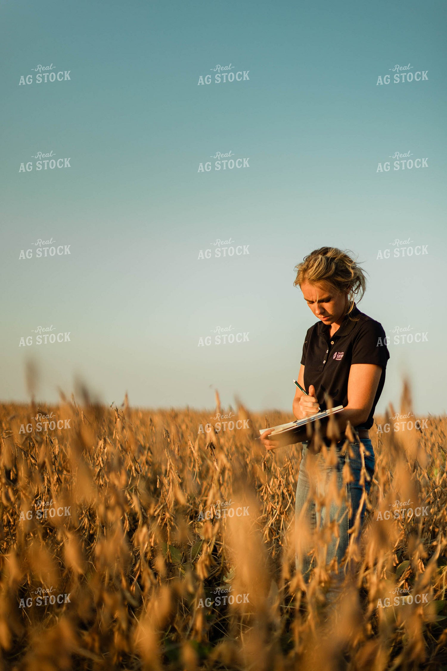 Female Agronomist Checking Beans 8308