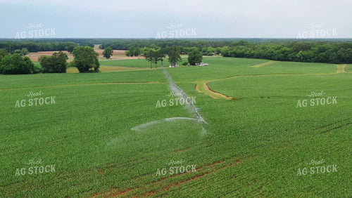 Pivot Irrigation System 79460