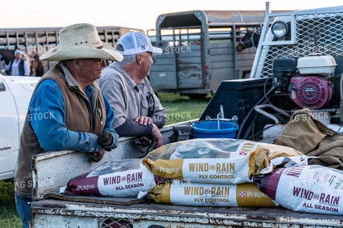 Ranchers Leaning on Truckbed 65176