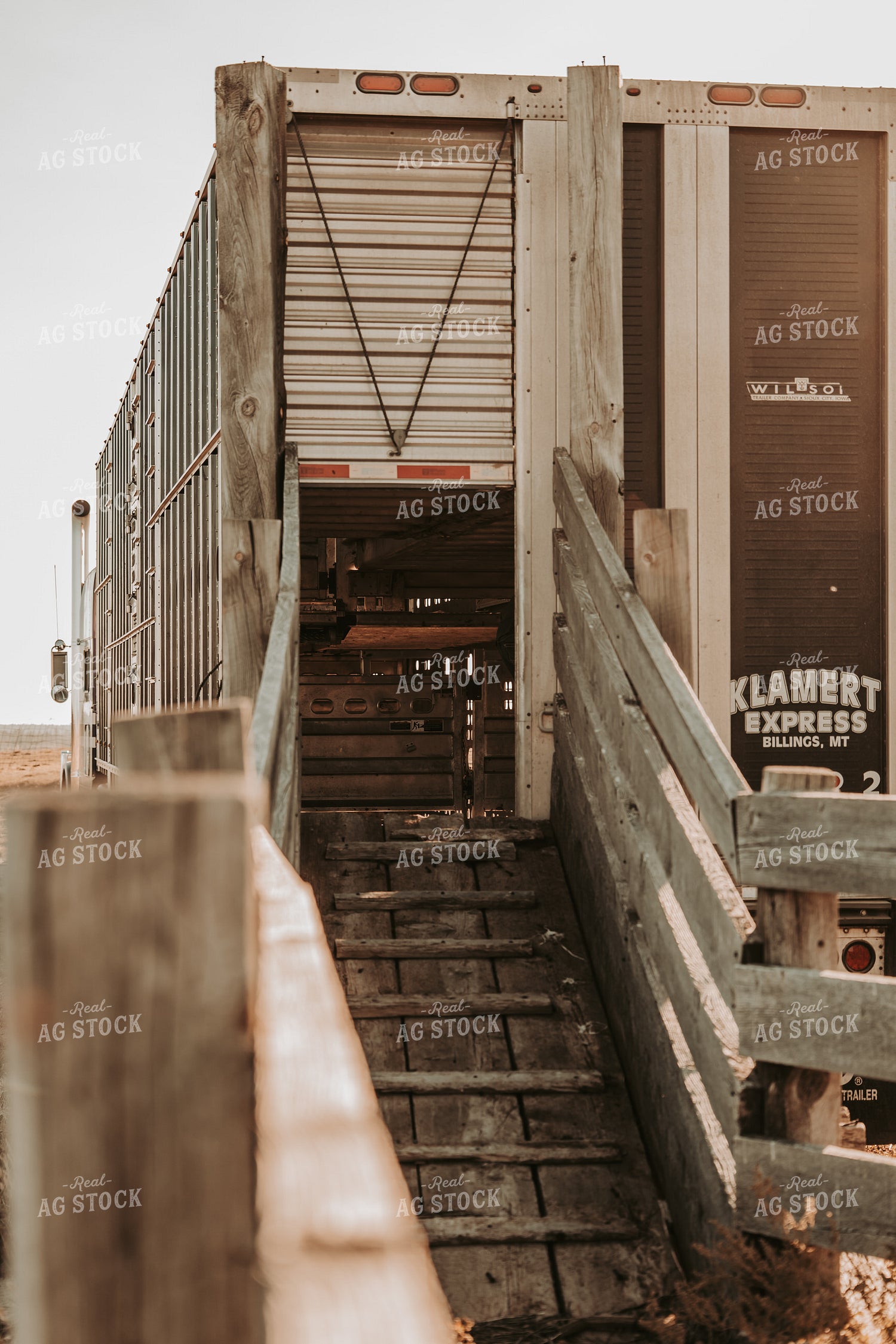 Loading Livestock Trailer 298005