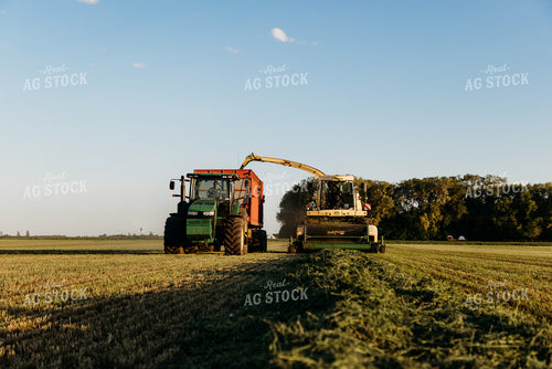 Chopping Silage 152150