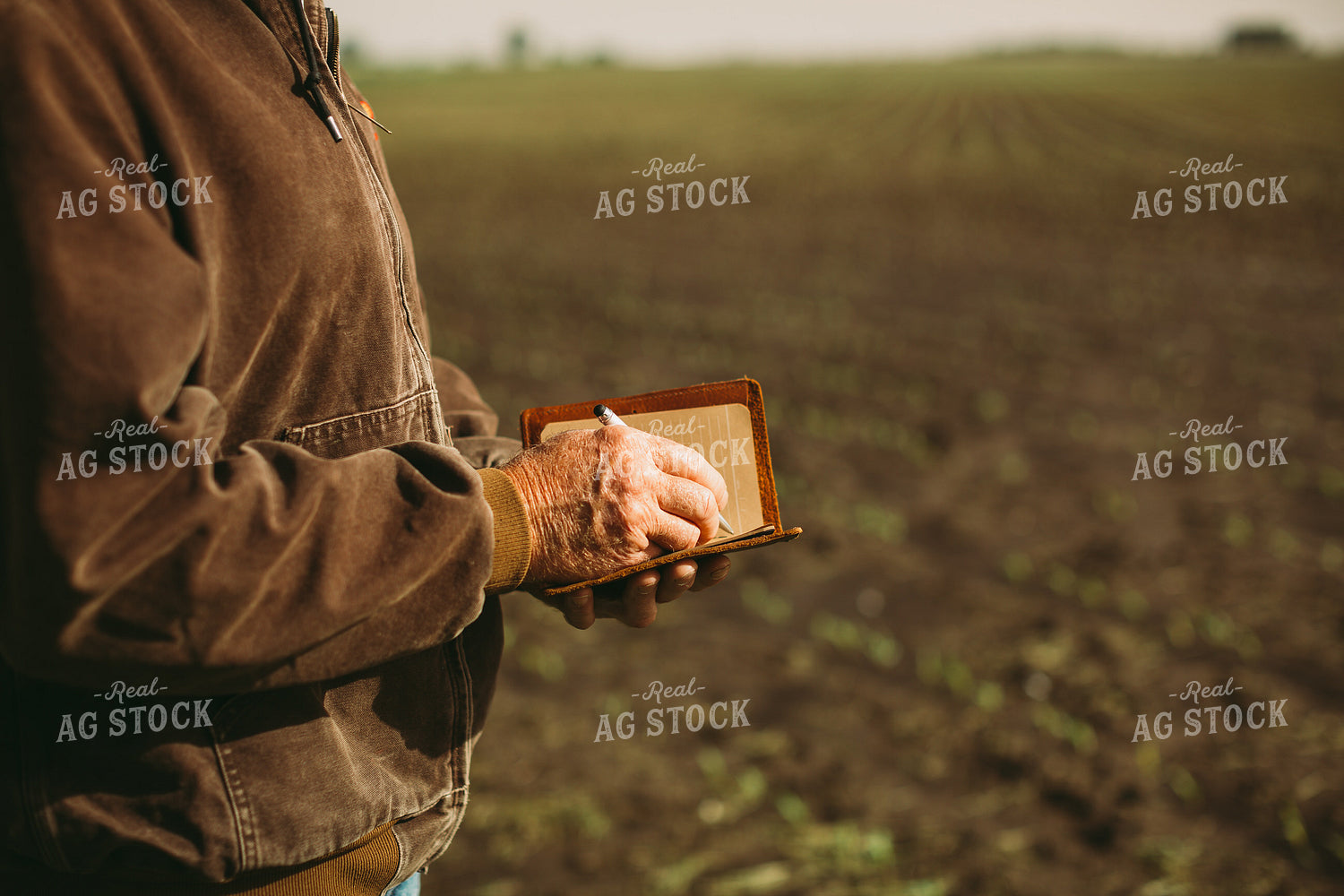 Farmer Taking Notes in Field 5529