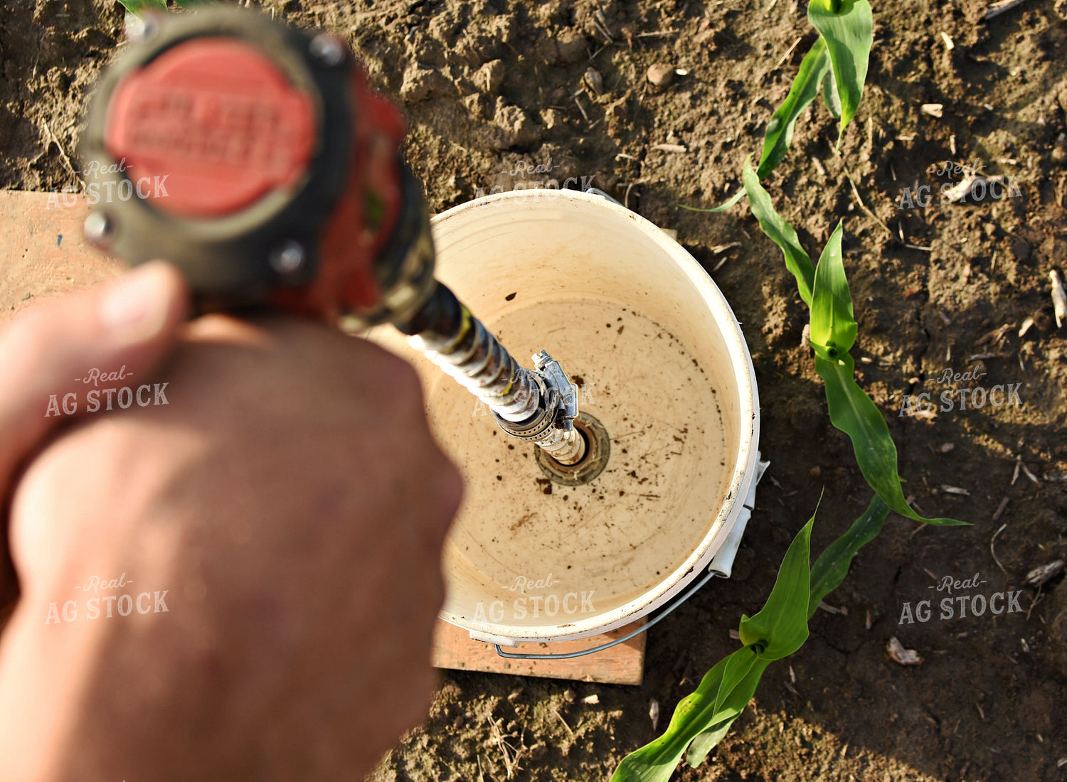 Soil Sampling 100042