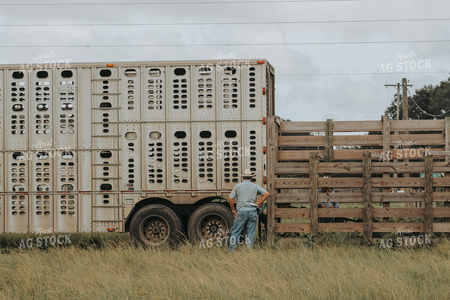 Rancher by Livestock Trailer 229000