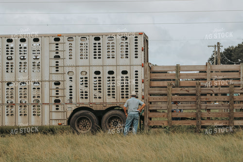 Rancher by Livestock Trailer 229000