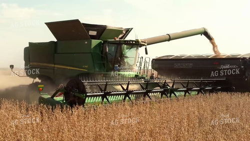 Soybean Harvest 287049