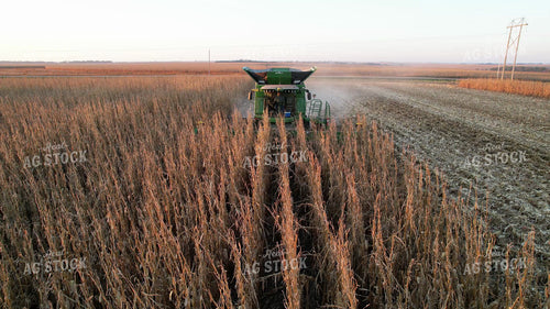 Soybean Harvest 65472