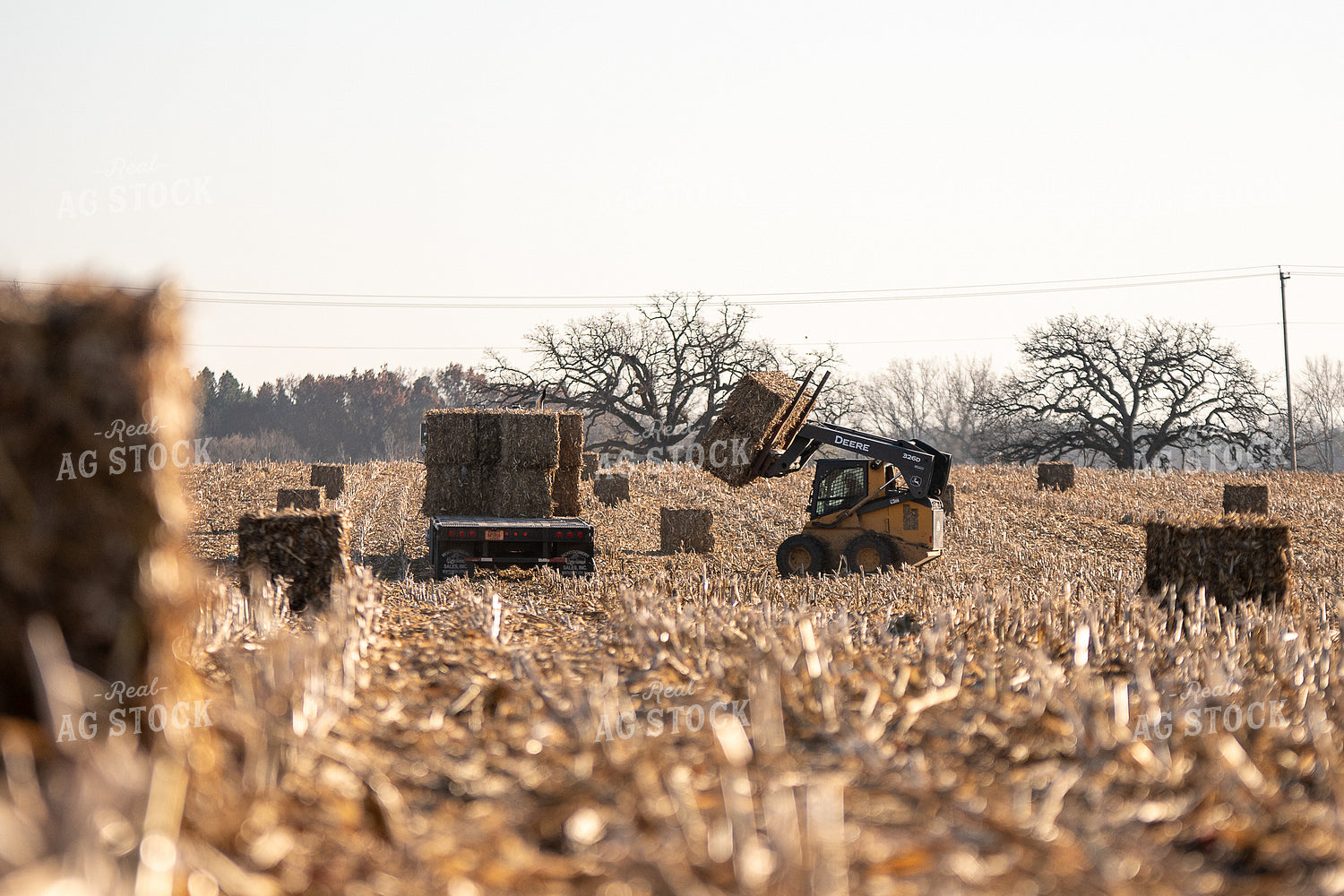 Loading Corn Bales 50455