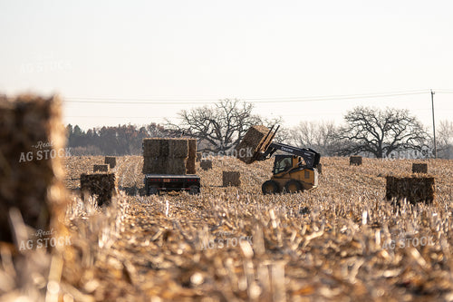 Loading Corn Bales 50455