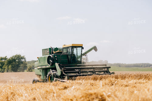 Wheat Harvest 178033