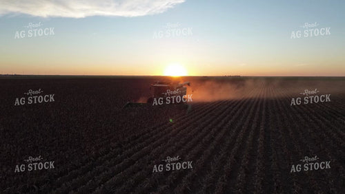 Cutting Sorghum 190027