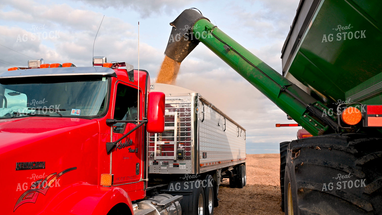 Grain Cart Unloading into Semi 25713
