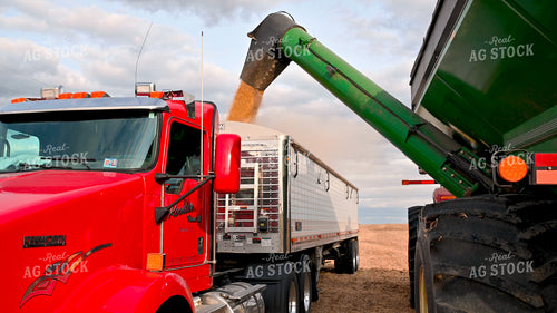 Grain Cart Unloading into Semi 25713