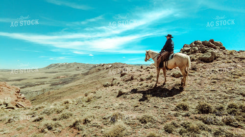 Rancher on Horseback 58110