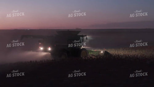 Milo Harvest 239062