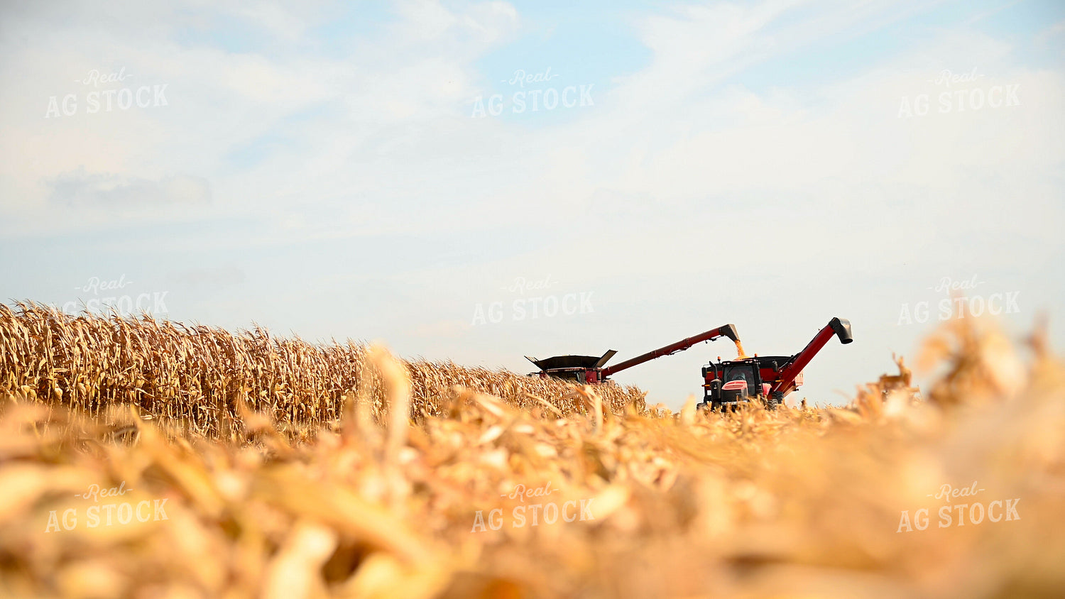Combine Unloading Corn into Auger Wagon on the Go 25605