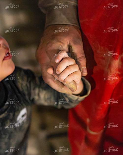Farmer and Son in Pig Barn 289070