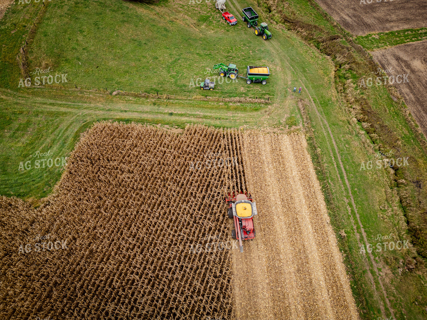 Aerial of Corn Harvest 268141