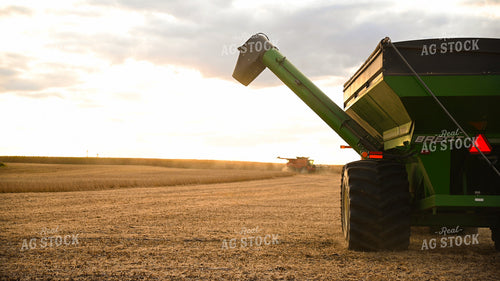 Grain Cart Driving to Meet Combine Harvesting Soybeans 25721
