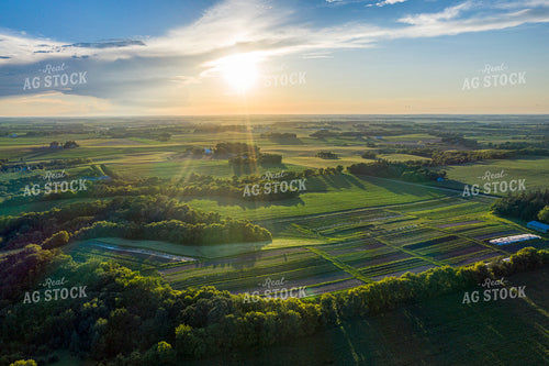 Aerial of Farmland 250067