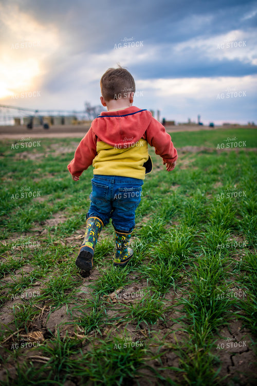 Farm Kid Running in Field 56609