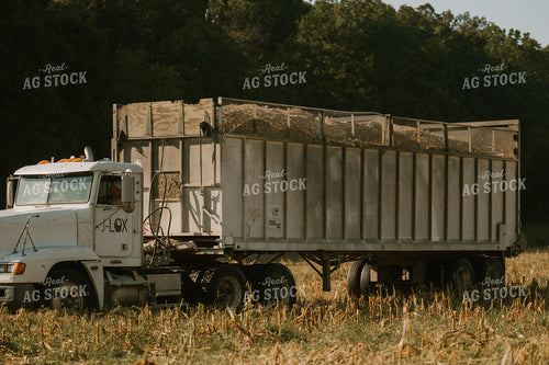 Truck at Corn Silage Harvest 125341