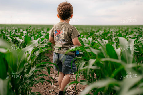 Farm Kid in Corn Field 218025