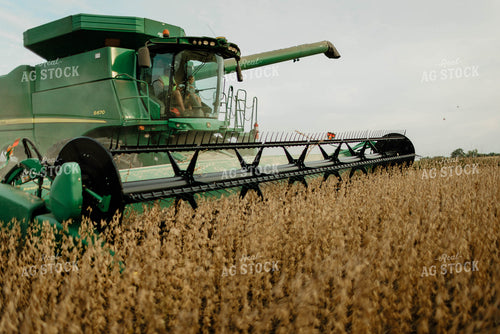 Soybean Harvest 8666