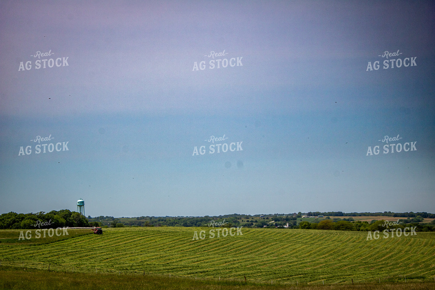Cutting Hay 214145