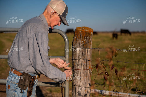 Farmer Closing Fence 115476