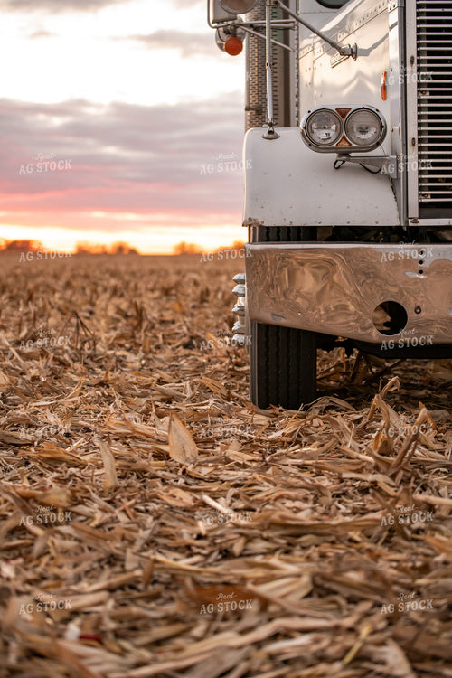 Semi in Cornfield 76570