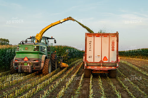 Corn Silage Harvest 272062